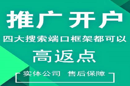 SEM推广策略：成功案例解析与效果评估